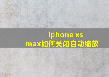 iphone xs max如何关闭自动缩放